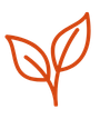Rooted in Vietnam